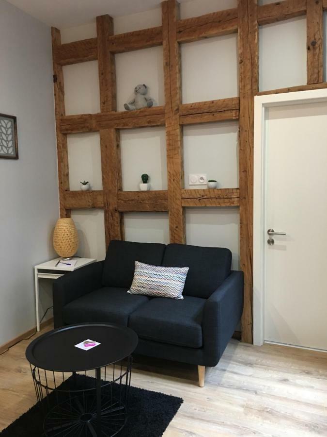 Les Appartements De L'Epine Strasbourg Exterior photo